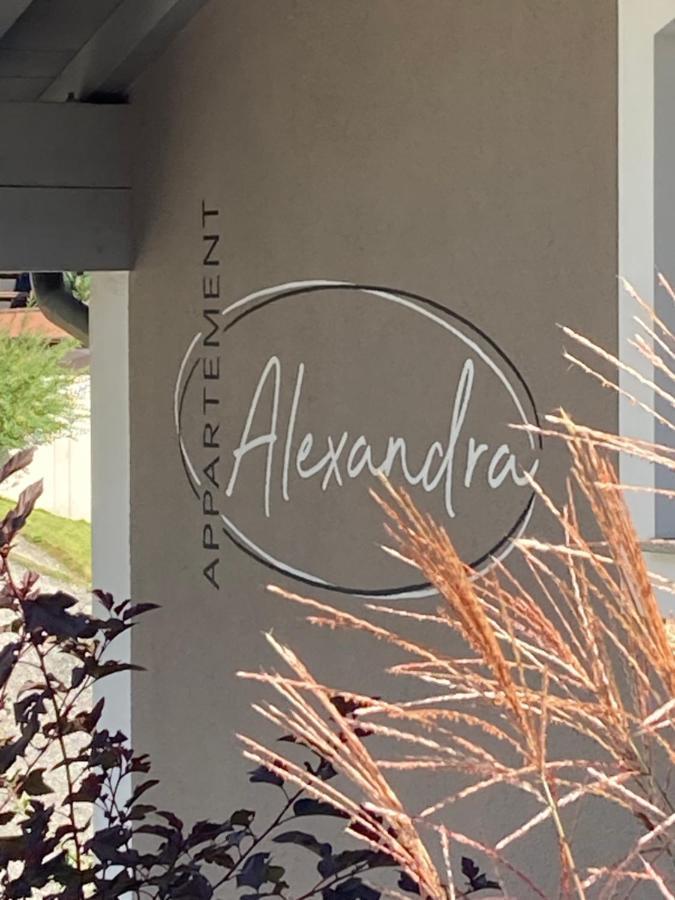 Appartement Alexandra Neukirchen am Grossvenediger Bagian luar foto